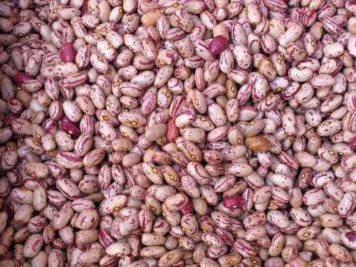 fagioli-borlotti-secchi.jpg