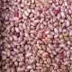 fagioli-borlotti-secchi.jpg