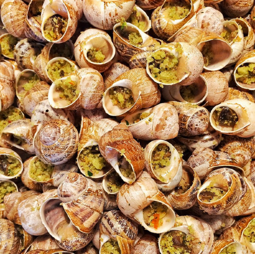 lumache-abruzzesi--prodotti-tipici.png