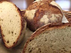 pane-di-solina-abruzzese