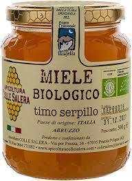 timo-serpillo.jpeg timo-serpillo.jpeg