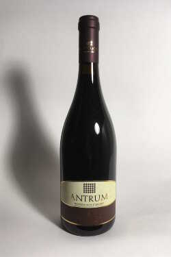 vino-montepulciano-d-abruzzo-doc-antrum.jpeg